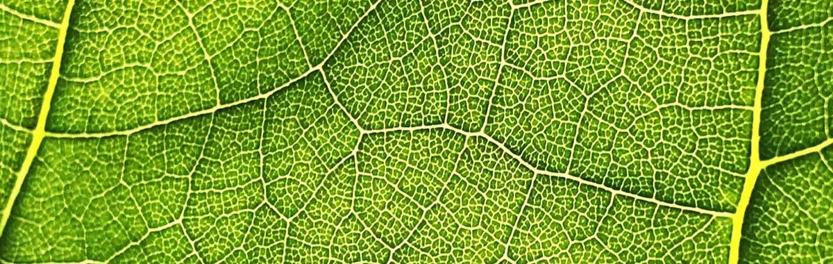 Moderne Architekturen Bild