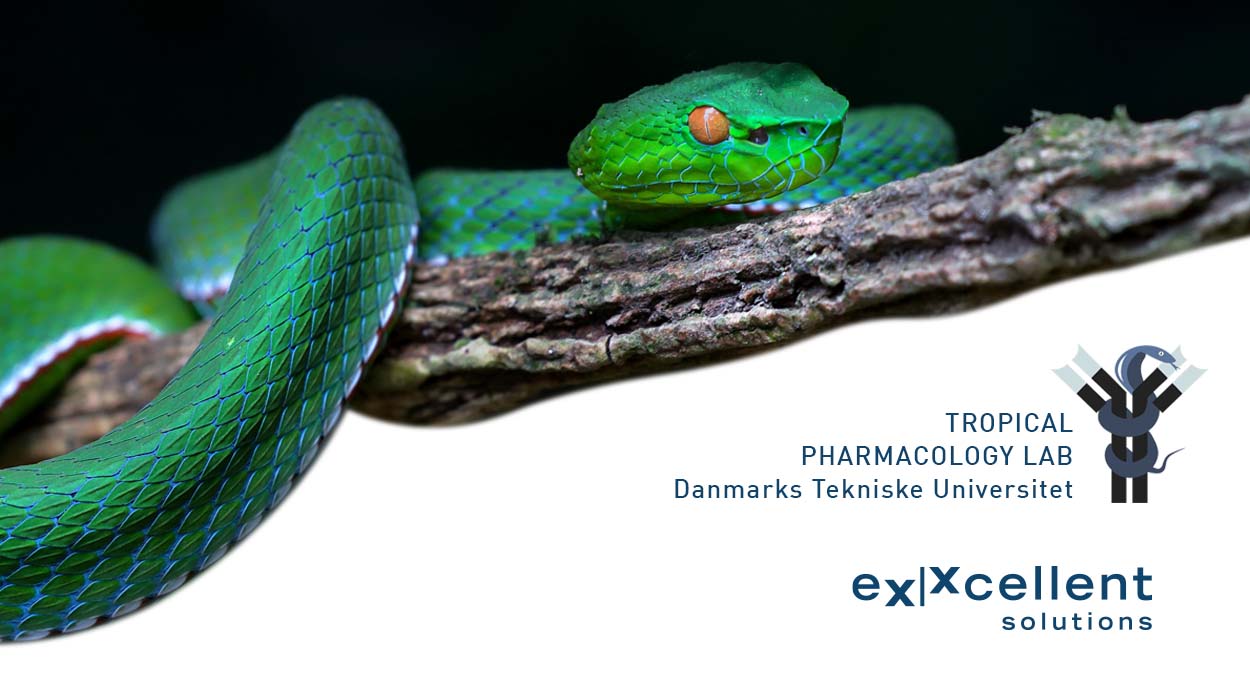 Kooperation zwischen dem Tropical Pharmacology LAB der DTU und eXXcellent solutions